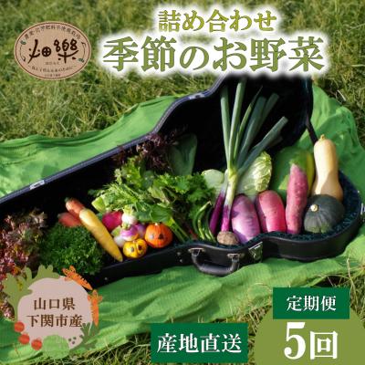 ふるさと納税 下関市 【定期便5回】 旬の 野菜 詰め合わせ IN003