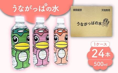 うながっぱの水 ミネラルウォーター1ケース（ 500ml ペットボトル × 24本 ） [TAQ006] ミネラルウォーター