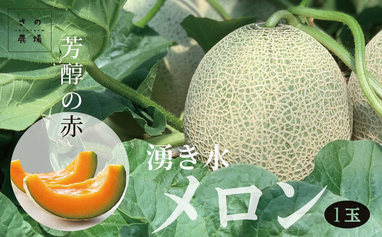 
                  【R8年収穫分】【数量限定】さのさん家のメロン（L玉以上）１玉 湧き水栽培 さの農場
                