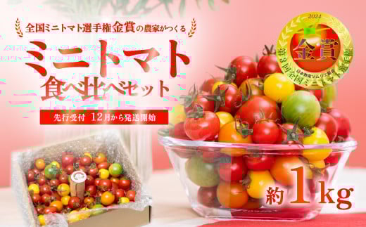 ミニトマト 食べ比べセット 1kg ミニトマト選手権「金賞」農家がつくる【 10種以上 国産 旬 フルーツトマト 高糖度 カラフル 10000円以下 】