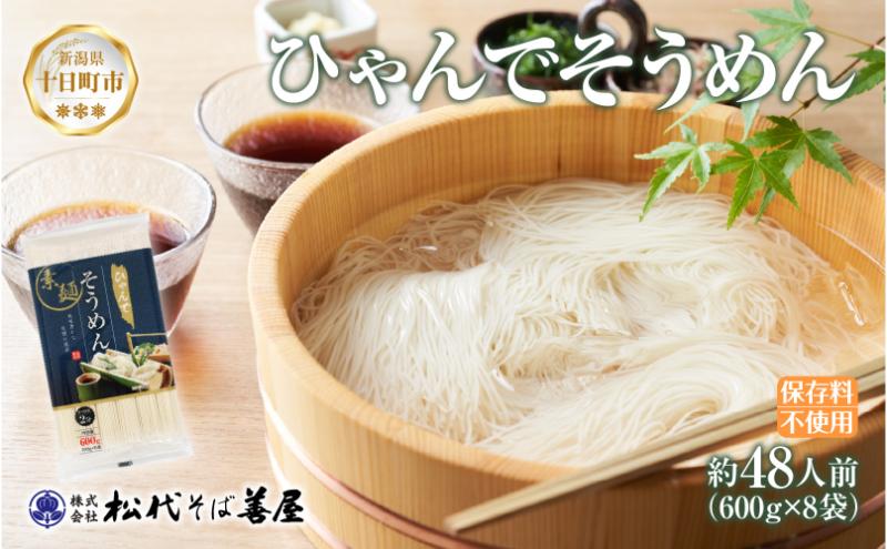 ひゃんで そうめん 600g 8袋 約48人前 素麺 ソーメン 干しそう