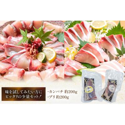ふるさと納税 日向市 刺身 柵 カンパチ ブリ 少量贅沢 食べ比べセット(日向市) |  | 01