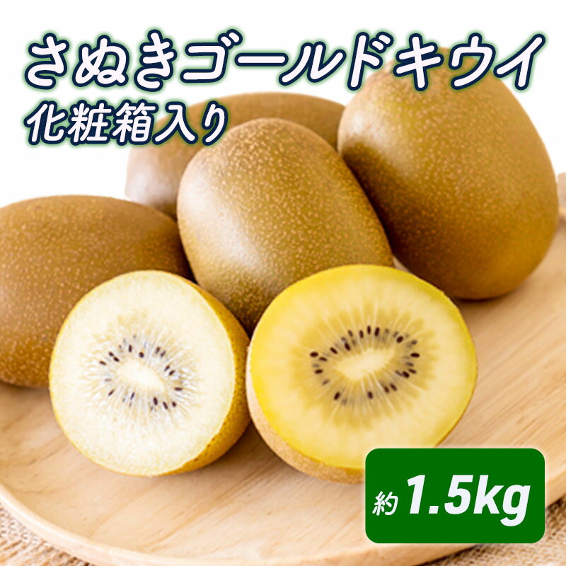 【ふるさと納税】さぬきゴールドキウイ　化粧箱（約1.5kg）_キウイフルーツ 果物詰合せ くだもの 　お届け：2026年10月22日～2026年12月31日