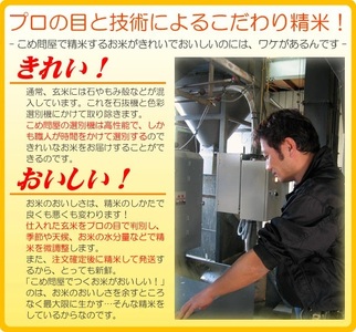 ☆数量限定50セット☆2種のお米の食べ比べ！令和7年産 大泉町産 にじのきらめき＆あさひの夢 5kgｘ4袋 （精白米） ※2025年11月上旬～2026年3月下旬頃に順次発送予定