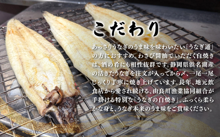＜凍らさず美味しさそのまま！〆たて・焼きたてを冷”蔵”で発送＞地元飲食店に愛される美味さにこだわった 国産うなぎの白焼き (1尾) ふるさと納税 福知山市 特上 うなぎ 蒲焼 ウナギ 鰻蒲焼き うなぎ