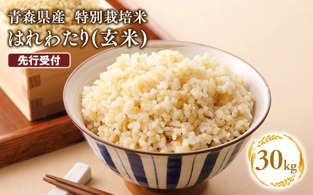 ≪令和8年産 先行予約≫1月上旬よりお届け! 　特別栽培米 はれわたり玄米30kg(10㎏×3袋)[hi-0061-001-1]