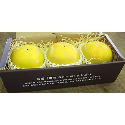 ふるさと納税 高松市 【先行受付2027年】【限定企画3000セット】厳選大玉　太秋柿化粧箱　約800g