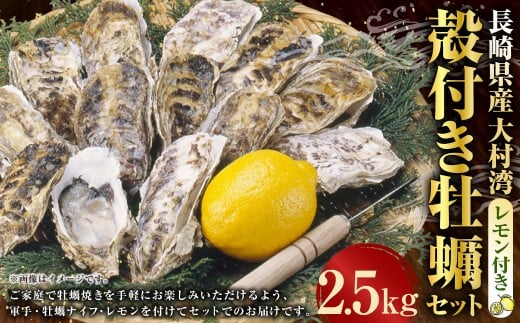 長崎県産 大村湾 殻付き牡蠣セット 2.5kg 浜揚げ直送 ( 軍手 牡蠣ナイフ1本 レモン付 ) ／ カキ かき 魚介類 オイスター 魚介 海鮮 グルメ 長崎県 長崎市 【2026年1月上旬～2月下旬迄発送予定】