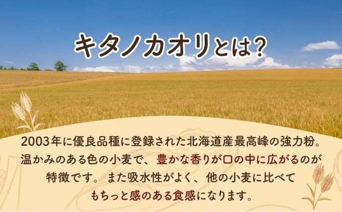 【定期便・全10回】【驚きのふわふわ触感】『ガナッシュシフォンケーキ』キタノカオリ石窯ガナッシュ（2ホール/1セット）×10回 ｜スイーツ チョコ ケーキ プレミアム小麦キタノカオリ100％ パン屋 
