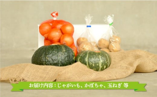 《令和8年分》数量限定！季節のお野菜詰め合わせ 秋(配送時期：9月～10月)