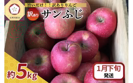 【2026年1月下旬発送】 【訳あり】 りんご サンふじ 5kg 青森