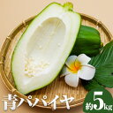 【ふるさと納税】 パパイヤ 青パパイヤ パパイア 野菜 健康野菜 5kg ゆいやわす《9月下旬-12月中旬頃出荷》熊本県 葦北郡 津奈木町 国産 人気 お試し カレー お味噌汁 炒め物 サラダ に 酵素 食物繊維 たっぷり