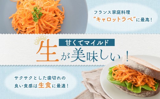 雪下にんじん 4kg