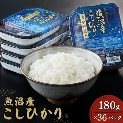 ふるさと納税 小千谷市 ふっくら美味しい魚沼産コシヒカリ雪中貯蔵米パックご飯180g×36個