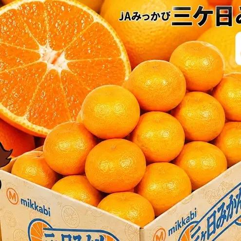 みかん 三ケ日みかん 早生 優品 Sサイズ 3kg みかん