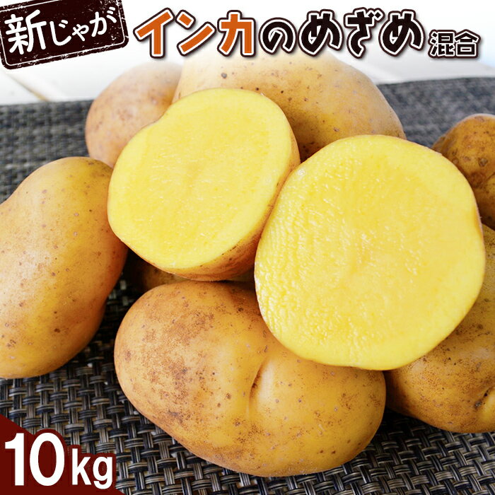 【ふるさと納税】新じゃが インカのめざめ サイズ混合 10kg 芋 いも お芋 オンライン 申請 ふるさと納税 北海道 恵庭 インカ じゃがいも ジャガイモ 甘い 濃厚 フライドポテト じゃがバター ポテトサラダ 根菜 野菜 恵庭市【83000802】