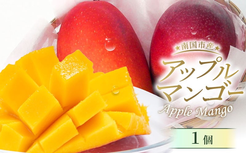 
            【先行予約】 完熟アップルマンゴー1個 (2026年6月～発送) | マンゴー フルーツ くだもの デザート 高評価 厳選 高級 ギフト 贈り物 人気 おすすめ アップルマンゴー まんごー フルーツ 果物 季節限定 期間限定 食品 西島園芸団地 高知県 南国市
          
