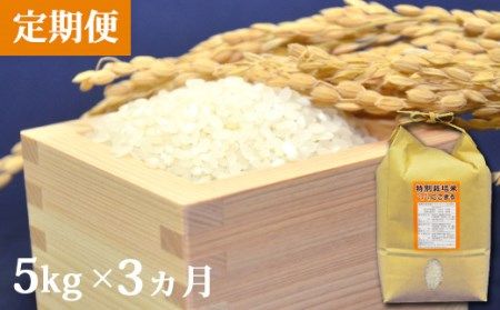 【CF01】BD105【定期便】特別栽培米ながさきにこまる　5kg×3ヵ月