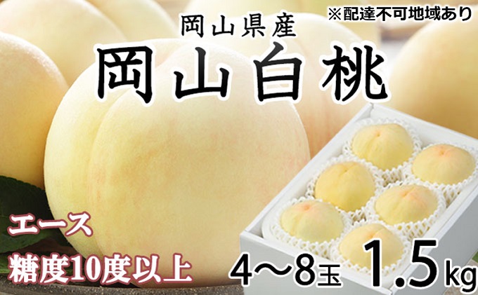 桃 2025年 先行予約 岡山 白桃 エース 4～8玉 約1.5kg JAおかやまのもも（早生種・中生種） もも モモ 岡山県産 国産 フルーツ 果物 ギフト