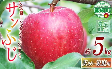 りんご サンふじ 訳あり 〜 家庭用 5kg ヒライ農園 沖縄県への配送不可 2026年12月上旬頃から2026年12月下旬頃まで順次発送予定 令和8年度収穫分 信州の環境にやさしい農産物認証 減農薬