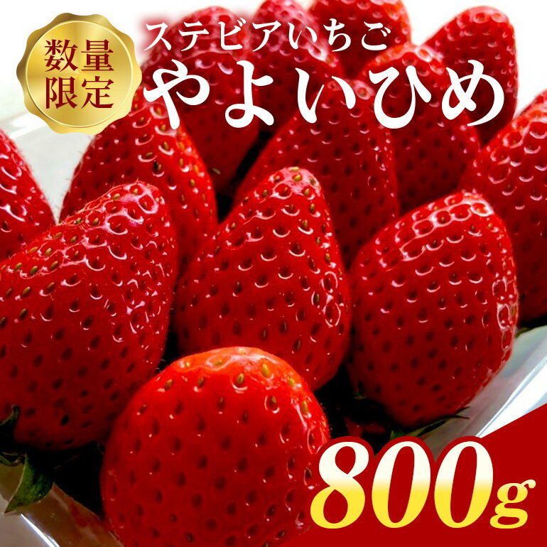 【ふるさと納税】 数量限定 朝摘みいちご やよいひめ 800g ステビア栽培 いちご 直売 ブランド 甘い 大粒 高級 ギフト 贈答用 朝摘み ステビア 苺 イチゴ 栽培 【期間限定 4月10日に受付終了】 88-A