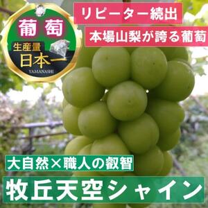 【2025年先行受付】11月上旬より発送「幻の牧丘天空シャインマスカット」約1kg(2～3房)【配送不可地域：離島】【1579789】