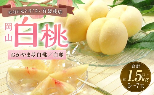 桃 2026年 先行予約 岡山 白桃 （品種 ： おかやま夢白桃 ／ 白麗） 5～7玉 合計1.5kg以上 【2026年7月下旬～8月上旬 発送予定】 もも モモ フルーツ 果物 果実 岡山県産 国産 ギフト 環山堂 岡山県 奈義町 冷蔵