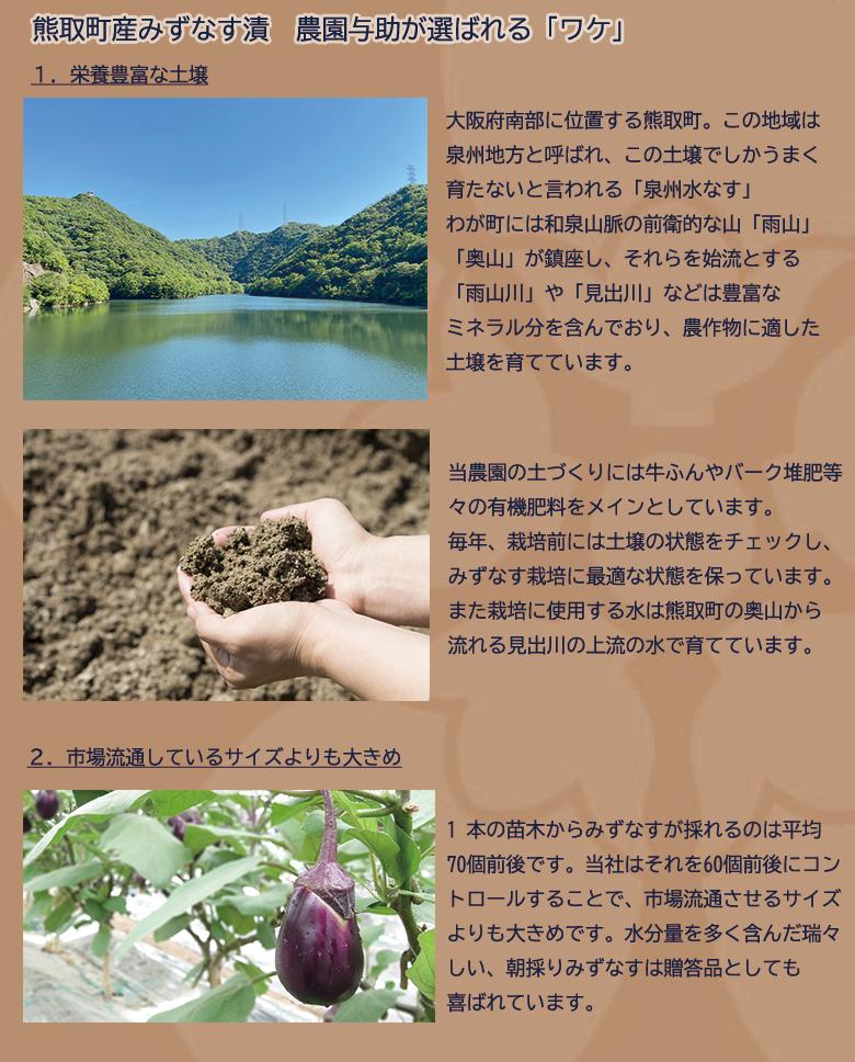 【ANA限定】水なす漬３個＋Kuma Tsumugiクラフトビ－ル２本セット（041_5007）