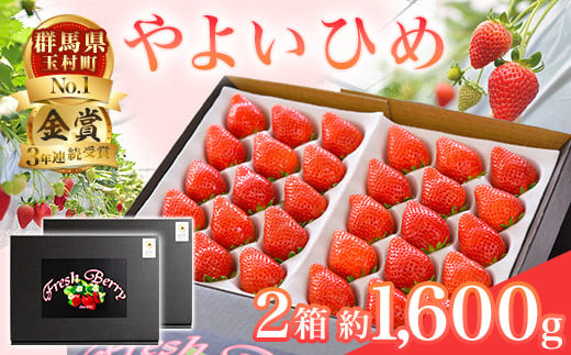 群馬県やよいひめ（いちご）約1.6kg【３年連続金賞受賞！】