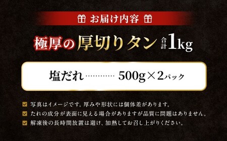  【ふるさと納税3.0対象】極厚の厚切りタン 1kg （500g×2パック） 塩だれ×塩だれ 