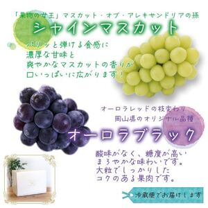 岡山　花笑み農園の『オーロラブラック＆シャインマスカット』1kg　AS-1　【9月中旬～順次発送】【配送不可地域：離島】【1629359】