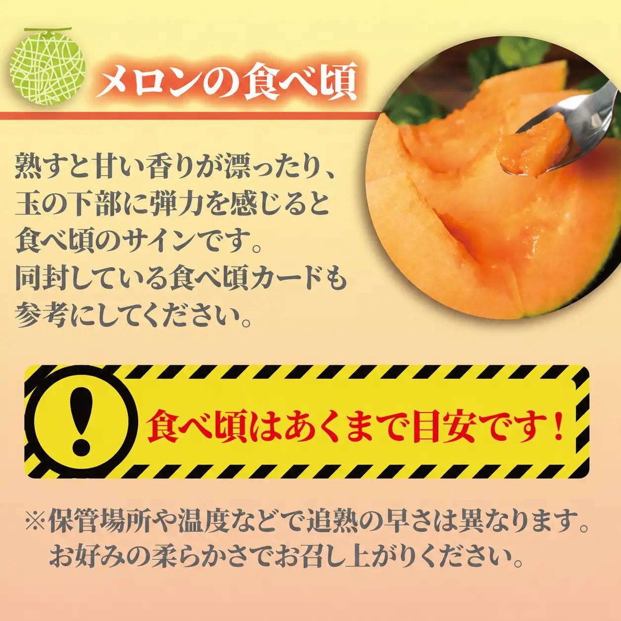 【先行受付】 メロン  赤肉 訳あり 約5.5kg  メロン