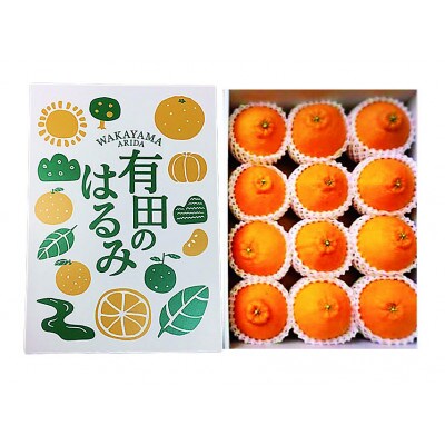 【まごころ手選別】和歌山県産　はるみ　化粧箱　Mサイズ12個入【2027年1月下旬より順次発送】【1743507】