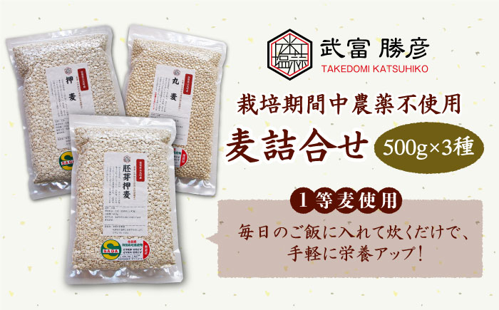 
【栽培期間中農薬不使用】麦詰合 500g×3種 ( 押麦 胚芽押麦 丸麦 ) 【葦農】[HAJ013]
