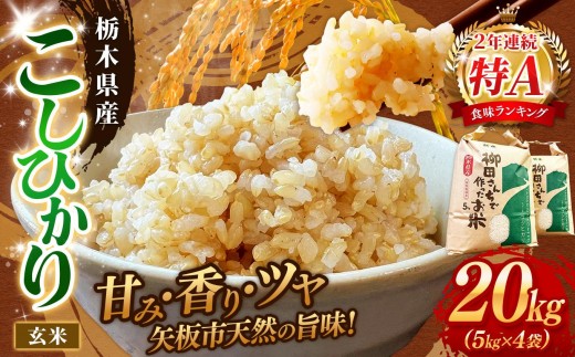 矢板市特別栽培米 お米 こしひかり 玄米 5kg×4P |栃木県 矢板市