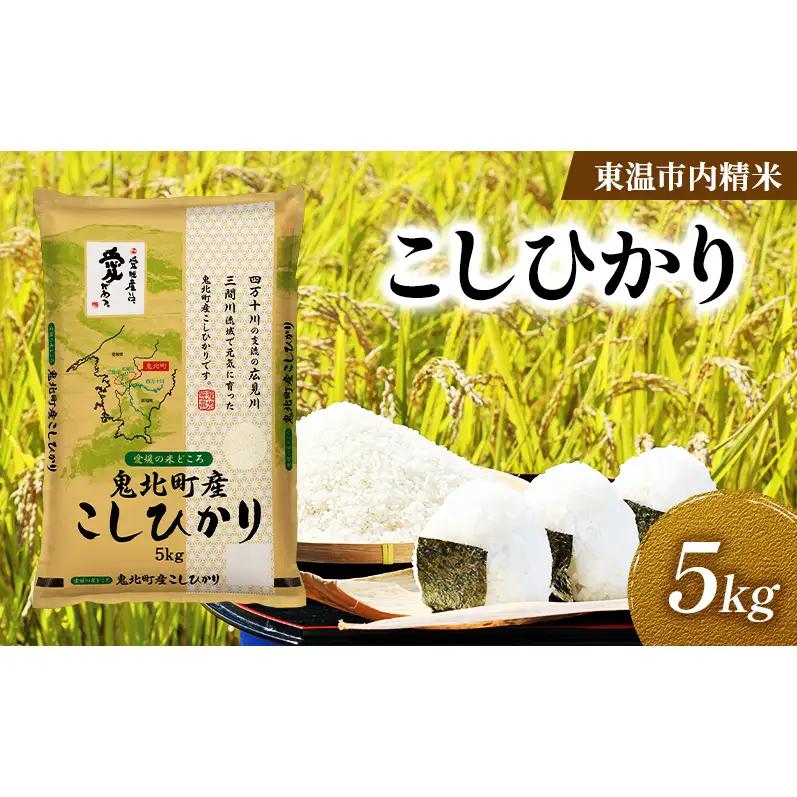 こしひかり 精米 鬼北町産 こしひかり【約5kg】