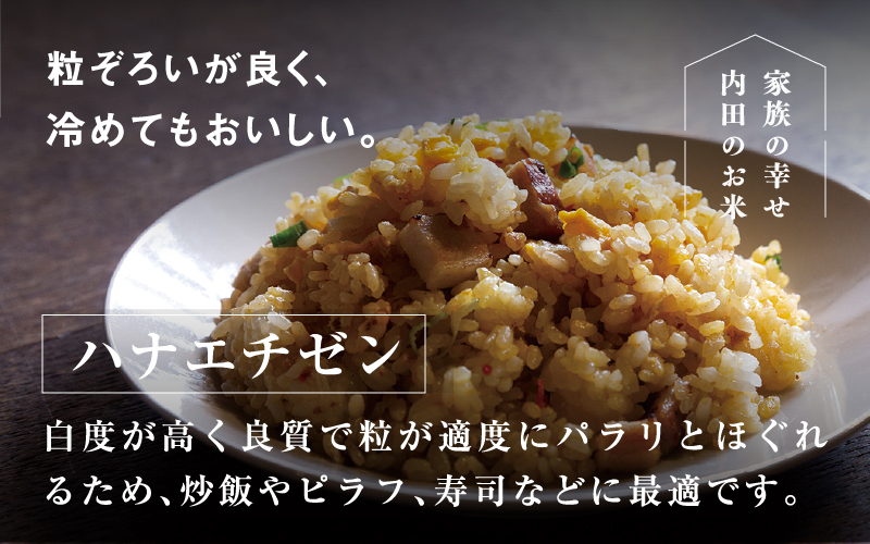 【令和7年産 新米！】【2025年9月下旬以降 順次発送予定】福井県産 内農米 ハナエチゼン 5kg  内農米 ハナエチゼン 5kg