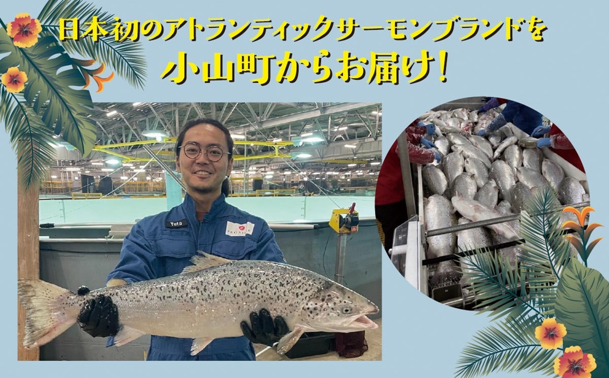 小山町からお届け