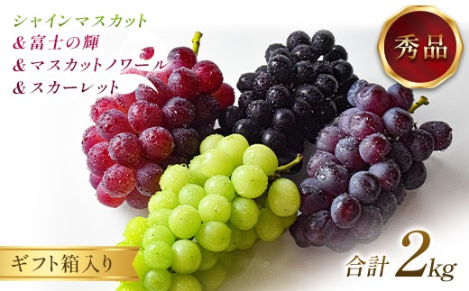 
                  ぶどう シャインマスカット＆富士の輝＆マスカットノワール＆スカーレット 2kg 秀品 ギフト箱入り 【令和8年度 先行予約】 FSY-2660
                
