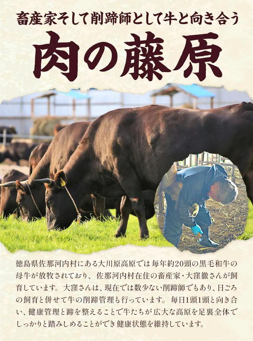 大川原高原牛 赤身モモしゃぶしゃぶ 500g | 牛肉