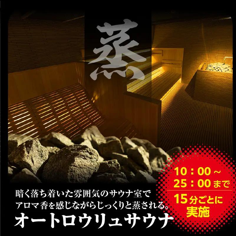 【ふるなびWEEK対象】サウナイーグル招待券　1枚 FN-Limited-PR（2338）