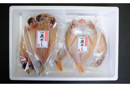  甘塩仕立て！のどぐろ・どんちっちあじ一夜干しセット 人気のセット 魚介類 魚貝類 お中元 干物 干もの 一夜干し 御中元 御歳暮 ギフト 新鮮 厳選 海鮮 個包装 セット 詰め合わせ 【679】