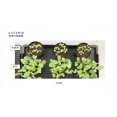 ふるさと納税 小松島市 みみず太郎100 5L  計2.5kg 堆肥 肥料 微生物資材 |  | 02