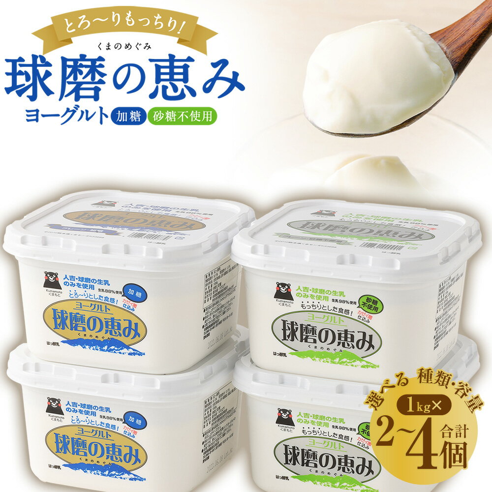 【ふるさと納税】【選べる 種類・容量】 とろ〜り食感!!球磨の恵みヨーグルト 砂糖不使用タイプ 加糖タイプ 2種セット 1kg×2パック 1kg×3パック 1kg×4パック 計 2kg 3kg 4kg 乳製品 ヨーグルト 熊本県 あさぎり町 送料無料