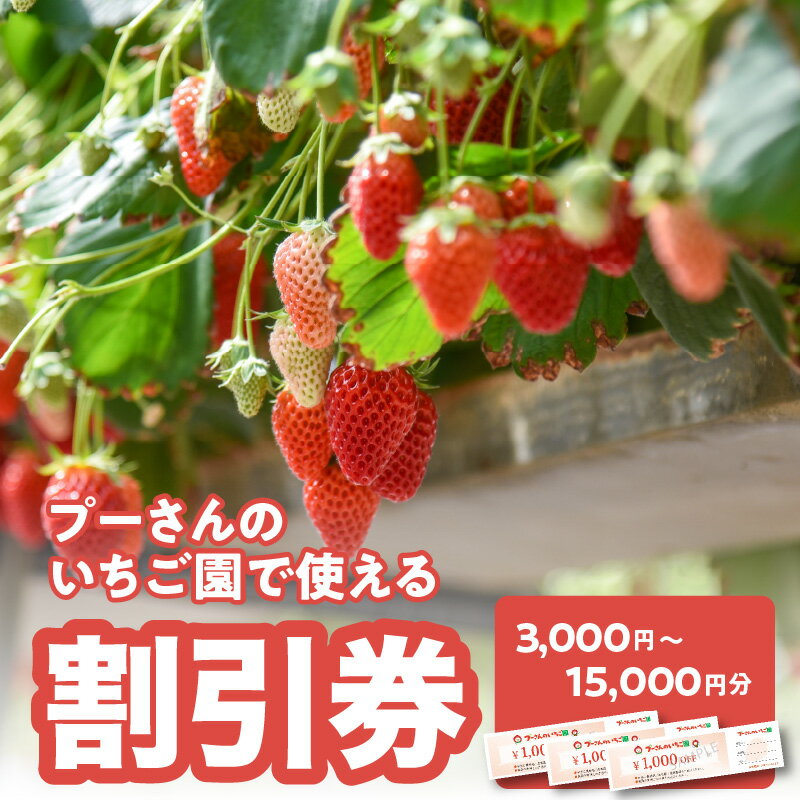 【ふるさと納税】プーさんのいちご園　割引券（3,000円分〜15,000円分） 福岡県 八女市 イチゴ狩り 割引 チケット いちご イチゴ 苺