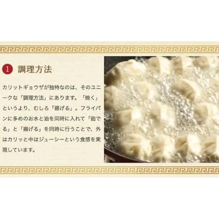 カリットギョウザ 生餃子 48ケ【6人前】ジューシー 大きい 冷凍餃子 冷凍生餃子