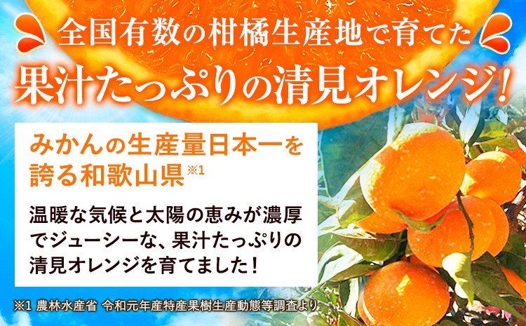 【ご家庭用訳アリ】 紀州有田産清見オレンジ 約7.5kg 株式会社魚鶴商店《2026年3月下旬-4月中旬頃出荷》 和歌山県 日高川町 オレンジ 柑橘 ご家庭用 フルーツ