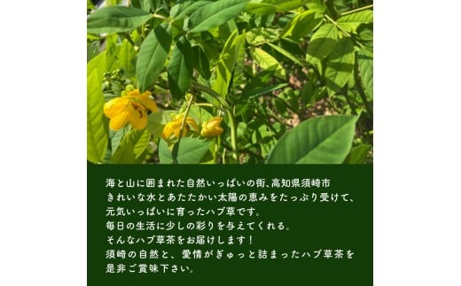 ハブ草茶 お試し 3パック セット 手積み 無農薬 オーガニック 天然 健康 ハブ茶 ノンカフェイン ティーバッグ 小分け ボタニカル 茶 お茶 日本茶 ティー 天日干し カフェインレス 高知県 須崎
