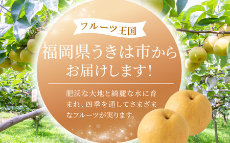 【先行予約】有機配合肥料使用 新高梨 6玉から10玉 2025年9月中旬から9月下旬 出荷予定【春光園】 梨 なし 果物 フルーツ