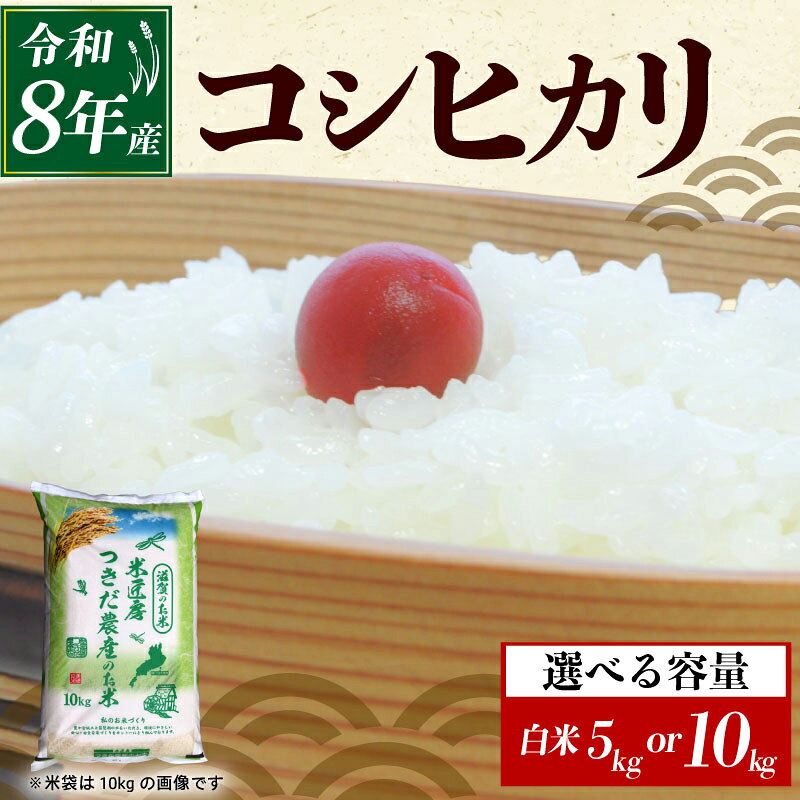 【ふるさと納税】 令和8年産 新米 コシヒカリ 白米 5kg×1袋 10kg×1袋 選べる 容量 米 コメ お米 5キロ 10キロ 米5kg 米10kg ご飯 ごはん こしひかり おにぎり お弁当 5kg 10kg 5 10 滋賀 彦根